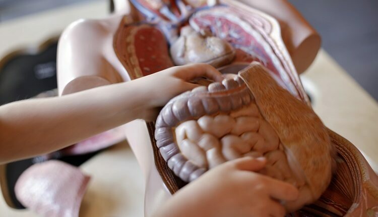 Colorectal Cancer